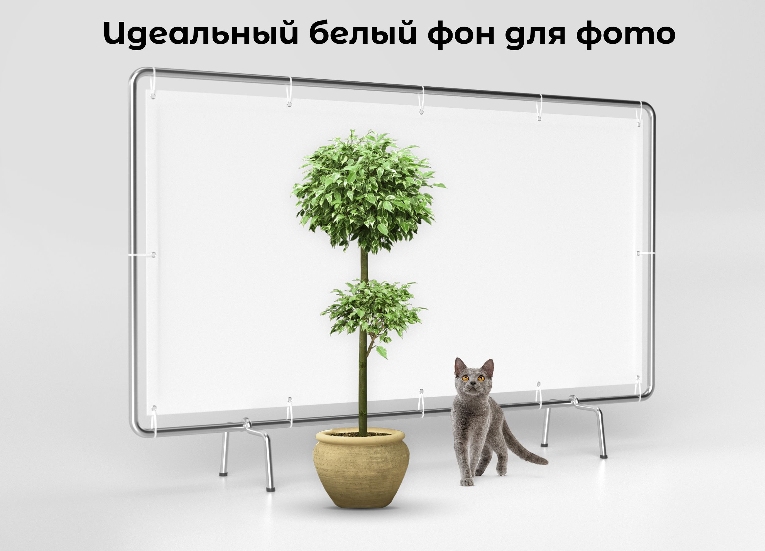 Квадратный белый баннер фотофон 200х300 см — изображение 2