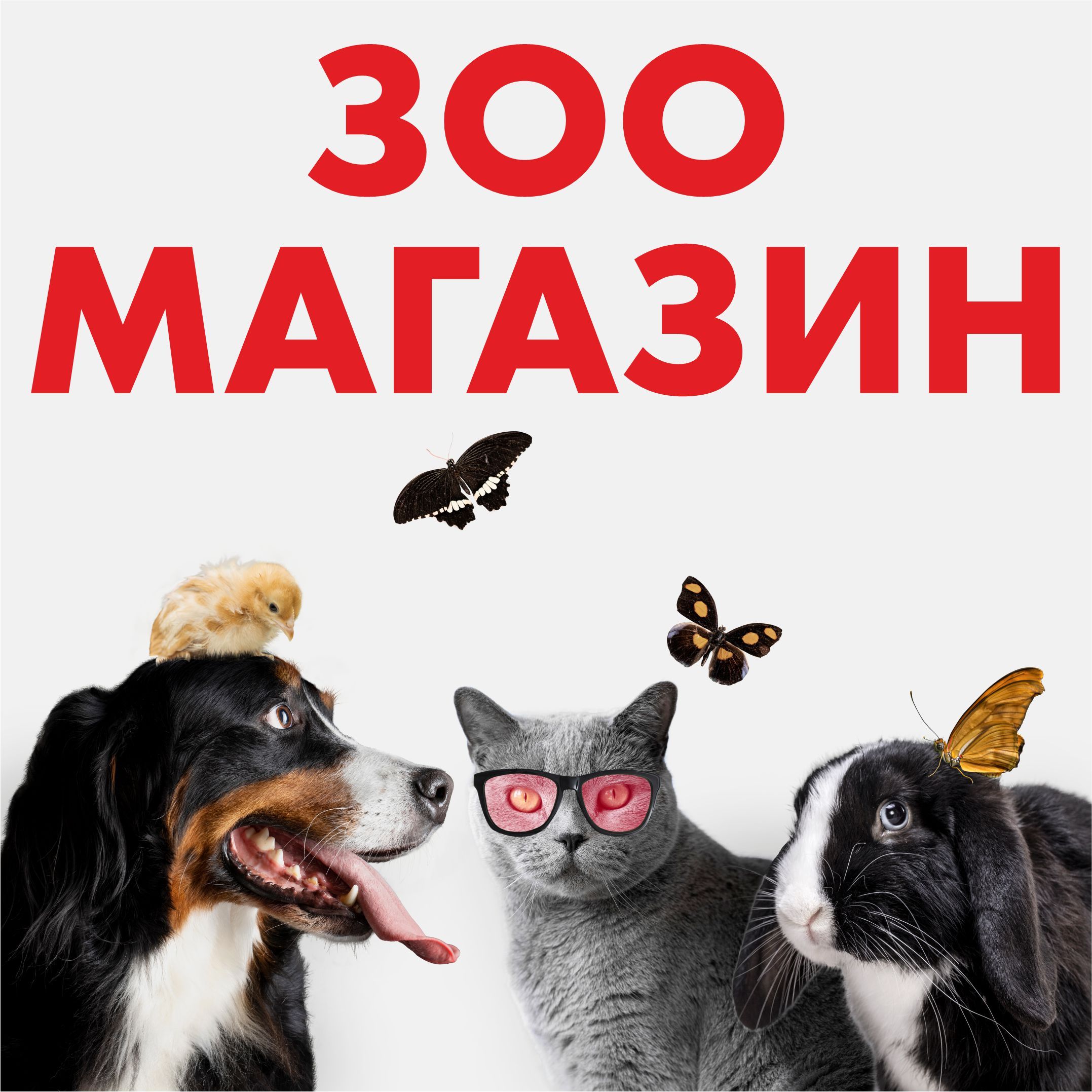 Рекламная вывеска-баннер "Зоомагазин" с животными 120х120 см — изображение 8