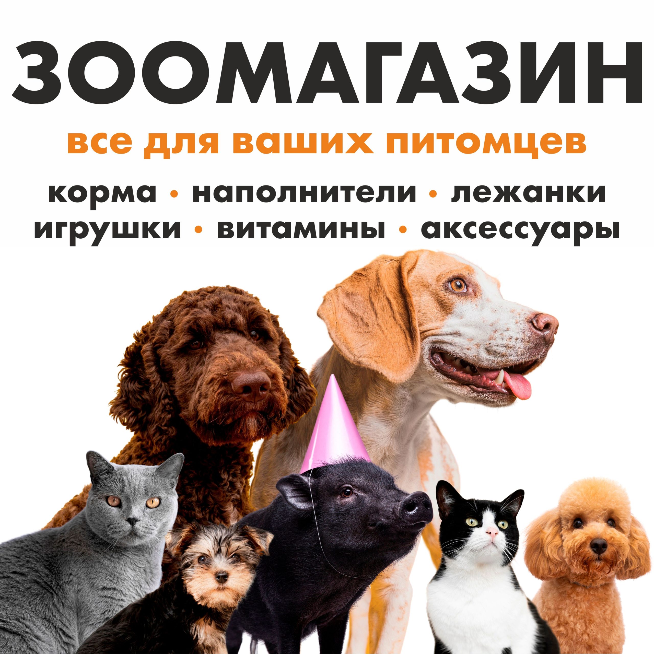 Рекламная вывеска-баннер "Зоомагазин" всё для ваших питомцев 120х120 см — изображение 8