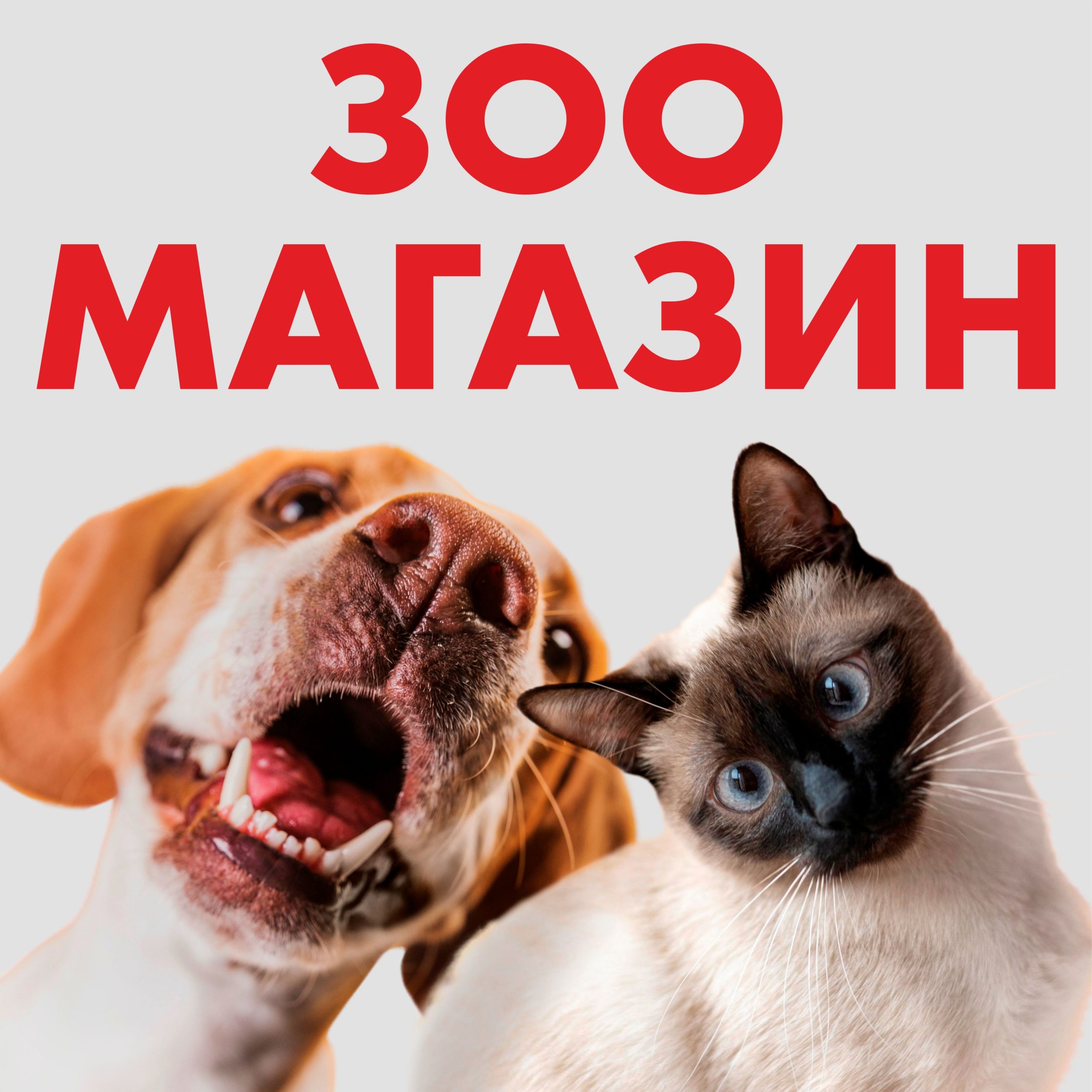 Рекламная вывеска-баннер "Зоомагазин" собака и кот 120х120 см — изображение 8
