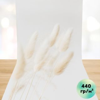 Фотофон с "Ларгус на белом фоне" на люверсах для предметной съёмки 50х100 см