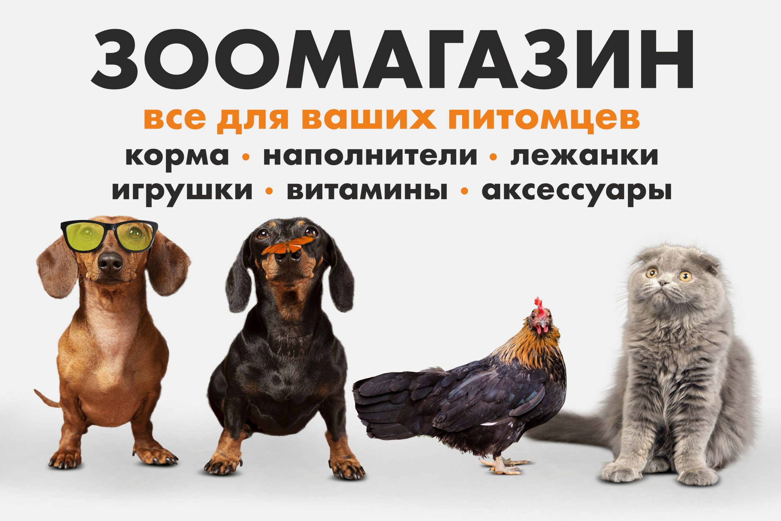 Рекламная вывеска-баннер "Зоомагазин. Все для ваших питомцев" 100х150 см — изображение 6